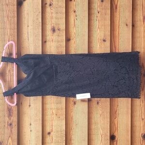 Bardot LBD Allover Lace XS NWT lined